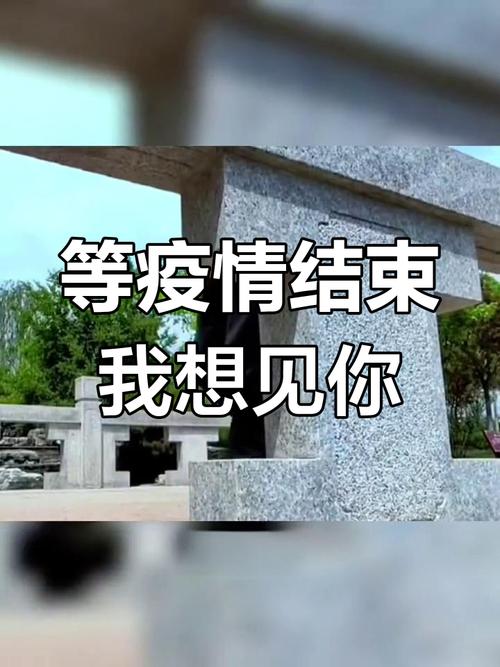 疫情后生活恢复_武汉樱花赏花攻略_疫情