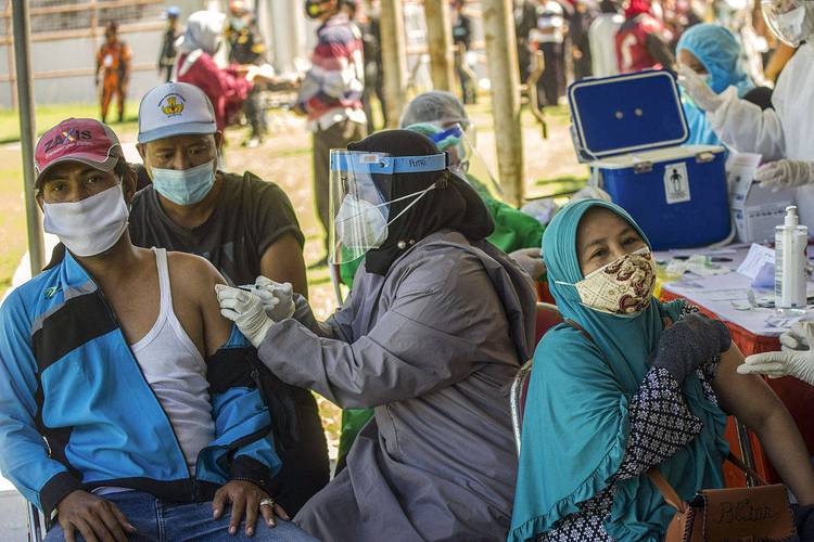 疫情_尼帕病毒疫情传播途径_尼帕病毒灭活方法